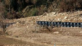 奥能登4市町の農地、復旧4割