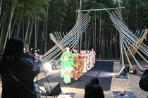 竹林でファッションショー