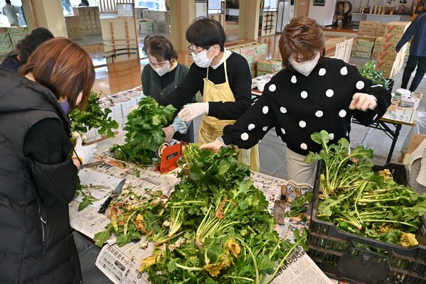 葉物野菜を仕分けするボランティアたち
