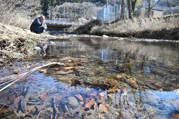 魚がすんでいないという精進川