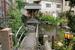 　住宅に囲まれた策の池＝東京都新宿区