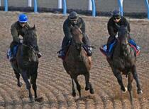 レガレイラは強めの調整