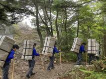 険しい山道 背負って運ぶ