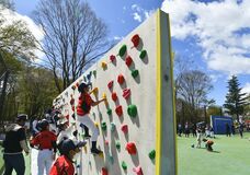 「さくらスポーツウォール」完成