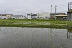 鹿沼の自然 プロに学ぼう