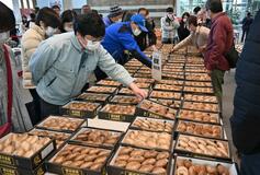 原木生シイタケ 内野さん最高賞