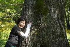 菖蒲ケ浜の広葉樹再生へ