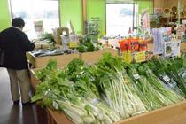 新鮮野菜で売り上げ増　みぶ農産物直売所　いなばの郷　ＪＡしもつけ