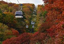マウントジーンズ那須の紅葉