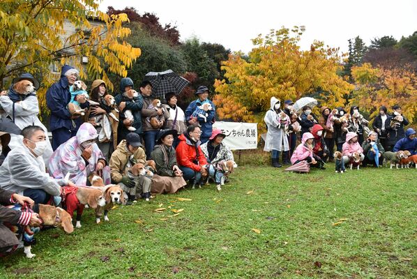 自慢のビーグルと記念写真に収まる愛犬家たち