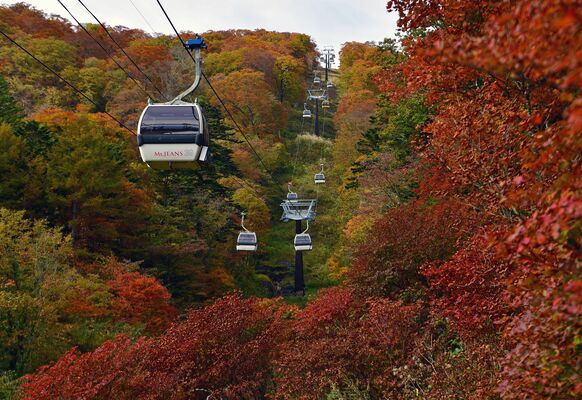 見頃を迎えたゴンドラ沿いの斜面中腹の紅葉＝21日午前11時15分、那須町大島