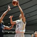 ブレックス竹内、光る存在感 田臥は今季初出場 天皇杯・信州に快勝、8日に千葉Jと準々決勝