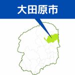 大田原市議補選、3月22日投開票　市長選と同日選に