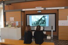 日光の小杉放菴美術館　「ツバメの学校」と呼ばれた小学校舞台の映画や歴史…