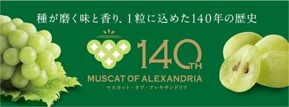 岡山県が誇る“ぶどうの女王”が節目の年 栽培140周年「マスカット・オ…