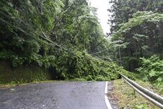台風６号は栃木県から遠ざかる、警報級大雨の可能性は低く　土砂災害や強風…