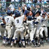 文星付16年ぶり栄冠　作新下し11度目聖地へ　夏の高校野球