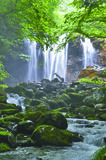 とちぎを見る　滝