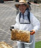 市役所屋上で蜂蜜採れる？