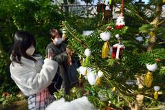 井頭公園にサナギツリー