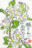読者登壇