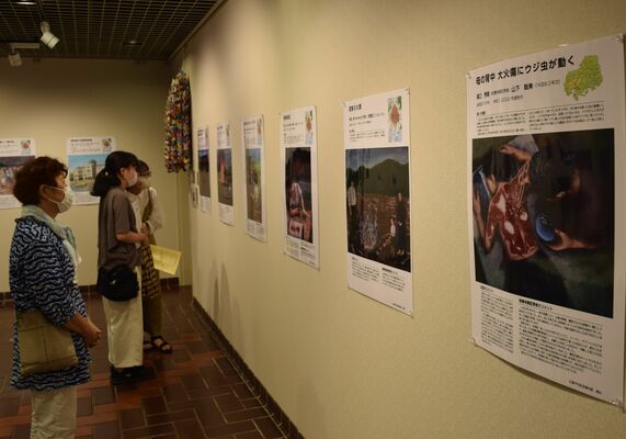 原爆の惨禍を描いた作品を見つめる来場者たち＝５日午前、県総合文化センター