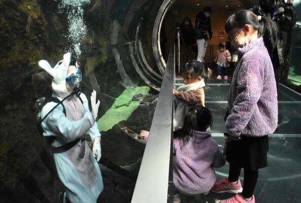 卯にちなみ、ウサギに扮して来園者を出迎えるダイバー