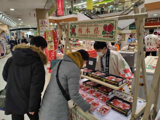 栃木県の食の魅力を発信した「とちぎ逸品まつり」＝大阪府吹田市