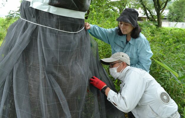 接着材の効果を確認する滝さん（手前）ら