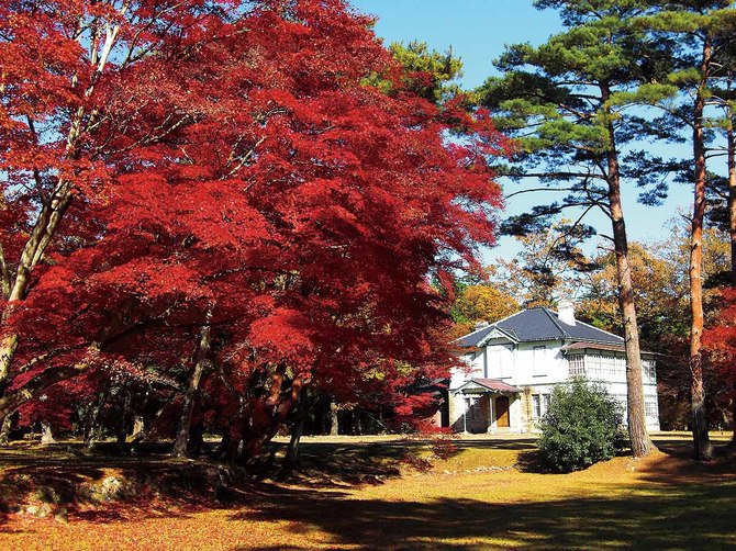 《千本松牧場》 那須塩原市千本松799　☎0287-36-1025