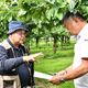 カメムシ大量発生に警戒を　栃木県が２年ぶり注意報　果実の大敵