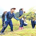 おいしいおにぎりになったかな　あそ野学園４年生が稲刈り体験　収穫の成果「食べるの楽しみ」