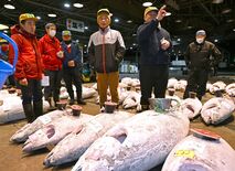 宇都宮・中央卸売市場で初競り　日の出前から威勢良く　最高価格は本マグロ