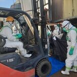 豚熱殺処分が本格化　栃木の養豚場　３～４日間で1100頭処分へ