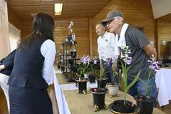 ウチョウラン 多様な美