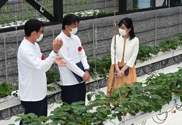大谷地域の地下冷水を使って栽培する「大谷夏いちご」のハウスを視察される佳子さま＝10日午後３時20分、宇都宮市大谷町（代表撮影）