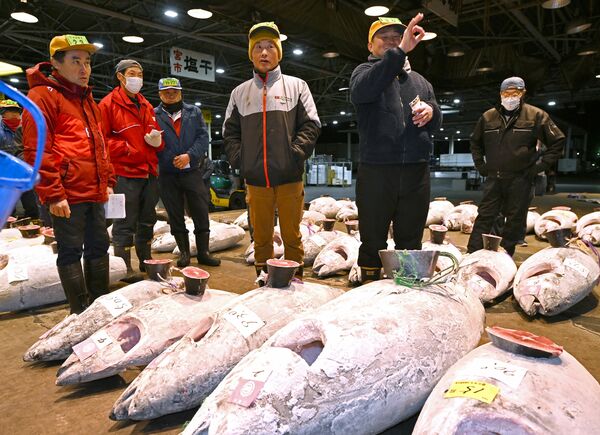 マグロを次々競り落とす仲買人ら=5日午前5時35分、宇都宮市簗瀬町