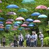 梅雨空に映える200本の傘　那須塩原・千本松牧場で「アンブレラウォーク」
