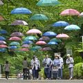 梅雨空に映える200本の傘 那須塩原・千本松牧場で「アンブレラウォーク」