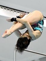 「10メートルは譲れない」　極めた美しさ、地元で有終　成年女子高飛び込…