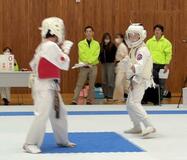 全県スポーツ記録帳