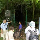 宇都宮空襲80年、市が遺構巡るバスツアー　特殊地下壕、大いちょう、飛行場…　親子連れら平和への思い新たに