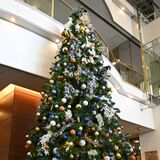 宇都宮東武ホテルグランデに巨大クリスマスツリー　利用客以外も「どんどん来て」