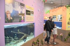 旬の魚が美男子に変身？　なかがわ水遊園の企画展、ＳＮＳで話題
