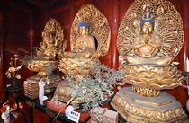 輪王寺三仏堂ですす払い