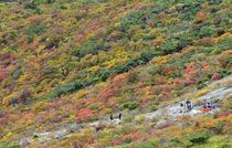 那須岳(茶臼岳)で紅葉進む 那須