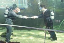 県なかがわ水遊園で水中入社式  大田原