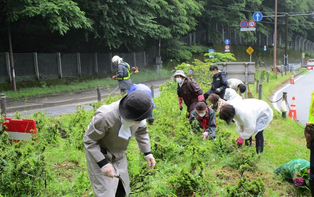 いろは坂入り口「馬返し」周辺での除草活動（日光商工会議所日光事務所提供）
