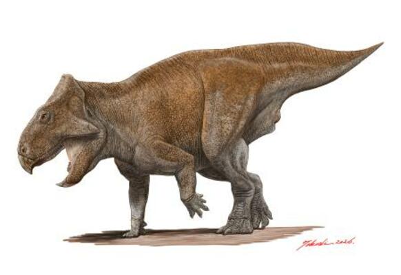 　角竜類の復元画（作・小田隆、久慈琥珀博物館提供）