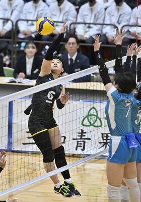 唯一１年から春高バレーに出場している国学栃木の星主将＝県予選決勝より